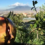 Evergreen Corbara (Campania)