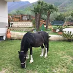 Evergreen Bed & Breakfast 3*
