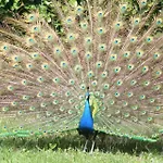 Evergreen Bed & Breakfast 3*