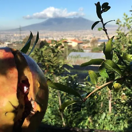 Evergreen Corbara (Campania)