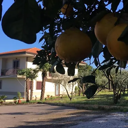 Evergreen Nocleg ze śniadaniem