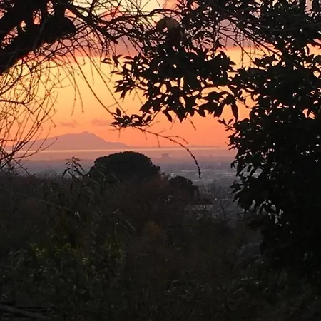 Evergreen Corbara (Campania)