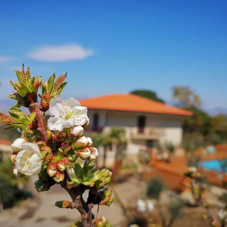 Bed & Breakfast Evergreen