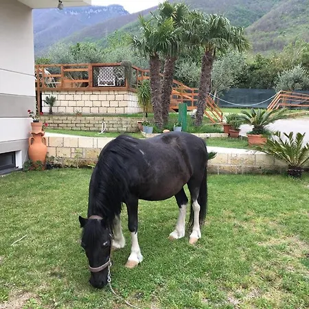 Evergreen Отель типа 