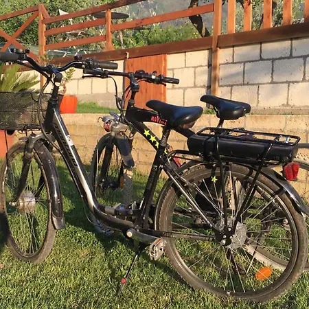 Evergreen Отель типа 