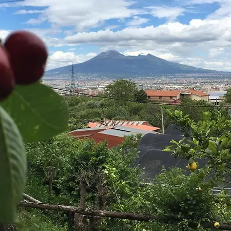 Evergreen Nocleg ze śniadaniem Corbara (Campania)