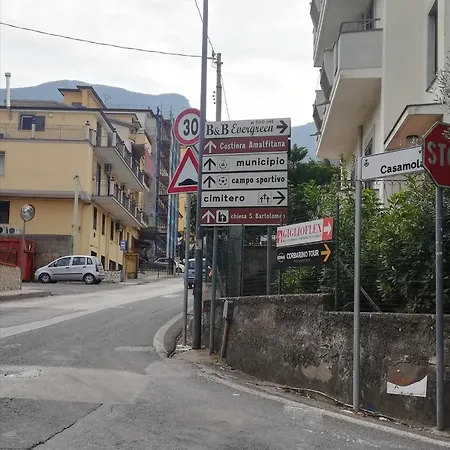 Evergreen * Corbara (Campania)