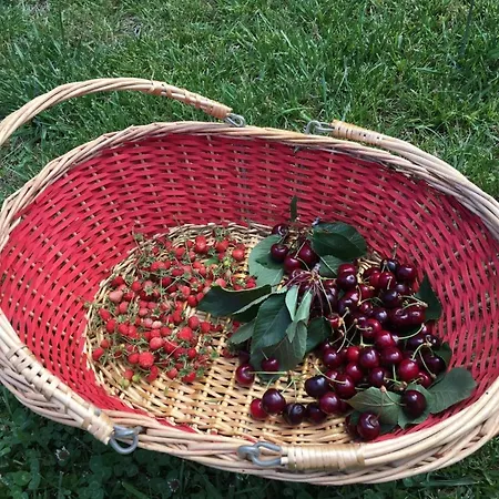 Evergreen Couette-café *