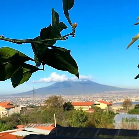 Evergreen 3* Corbara (Campania)
