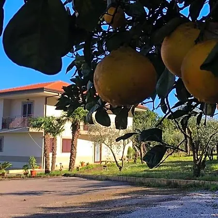 Evergreen Bed & Breakfast Corbara (Campania)
