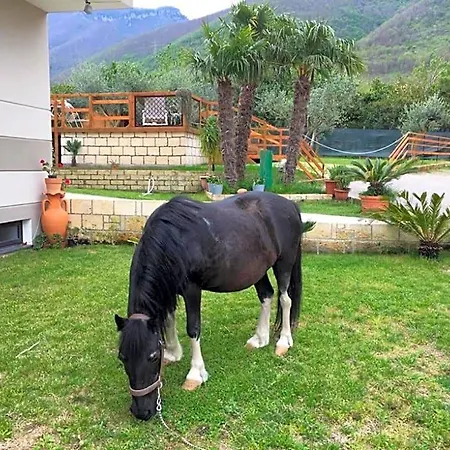 Evergreen Bed & Breakfast 3*